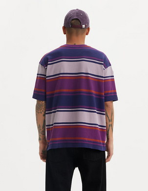 LEVI'S® SKATE MEN'S GRAPHIC BOX TEE - grape royale stripe purple and red