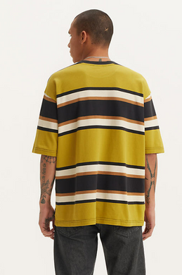 LEVI'S® SKATE MEN'S GRAPHIC BOX TEE -  green sulphur stripe green and brown