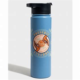 UBB INSULATED STEEL BOTTLE 22 OZ preserve and protect